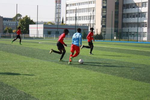 IMG 0009 (1)