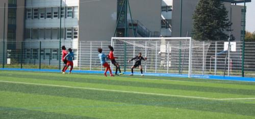 IMG 0022 (1)