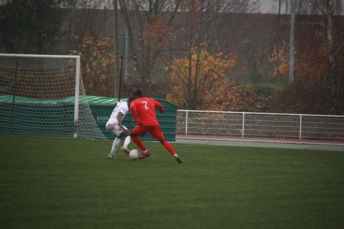 IMG 0098 (1)